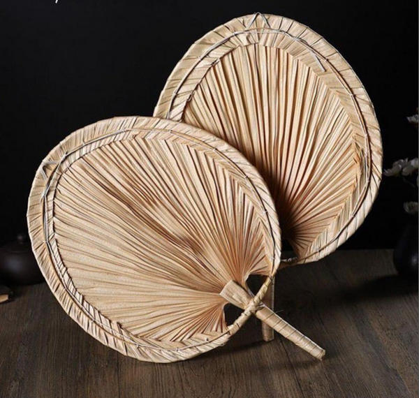 Lá cọ - Palm leaf